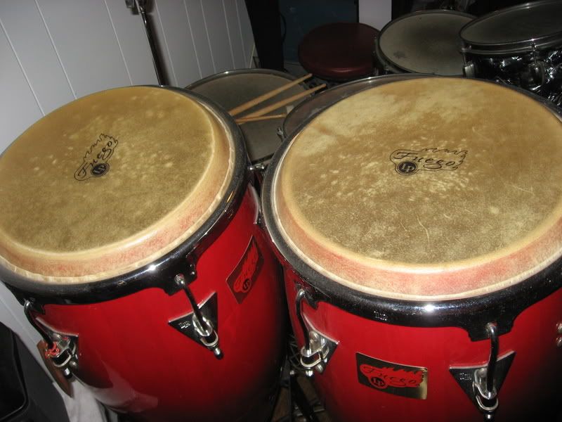 Latin Percussion Conga's model LP Fuego TRIBE MAGAZINE